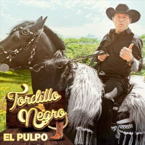 Download track Popurrí (Mi Negra / La Rosita / Le Tocaron Guararé) Tordillo Negro