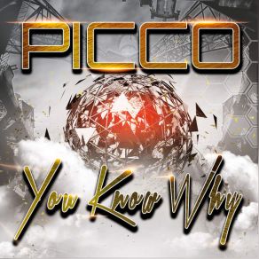 Download track You Know Why (Olly James Remix Edit) Picco