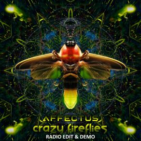 Download track Crazy Fireflies (Demo) Affectus Music