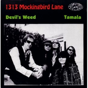 Download track Tamala 1313 Mockingbird LaneBrian Goodman