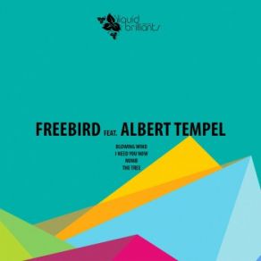 Download track Numb Albert Tempel, FreeBird