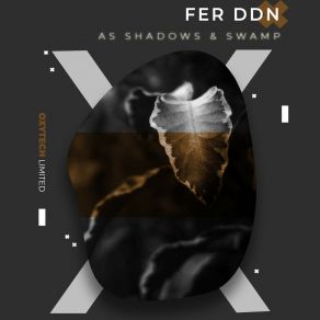 Download track As Shadows Fer Ddn