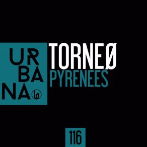 Download track Pyrenees (Edit) Torneo