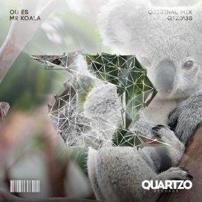 Download track Mr Koala (Original Mix) Ou Es