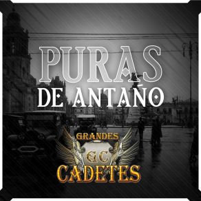 Download track Los Tres Amarradores GRANDES CADETES