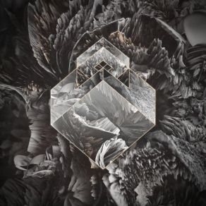 Download track Exist Overwerk