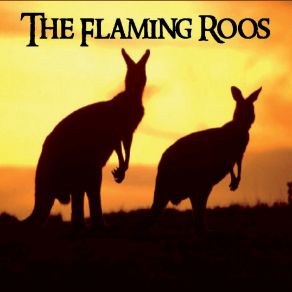 Download track Electric Eyes The Flaming Roos