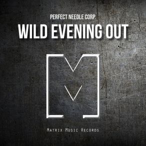 Download track Wild Evening Out Perfect Needle Corp