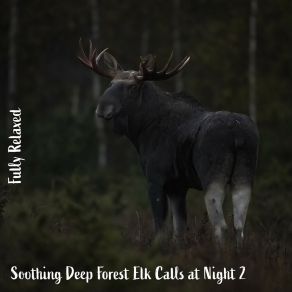 Download track Soothing Deep Forest Elk Calls At Night, Pt. 5 Steve Brassel