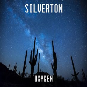 Download track 9 PM Silvertom