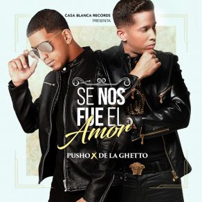 Download track Se Nos Fue El Amor Pusho