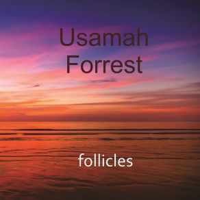 Download track Don't Ever Tell Me Goodbye Usamah Forrest