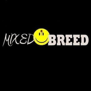 Download track Little Miss Valerie Mixedbreed