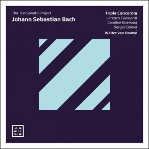 Download track 02. Trio Sonata In C Minor, BWV 1029 - II. Adagio (Transcribed By Sergio Ciomei) Johann Sebastian Bach