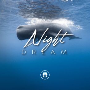 Download track Night Dream Whale Sounds