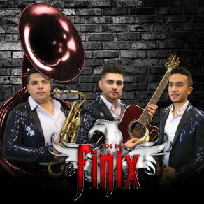 Download track Carnaval (En Vivo) Los De Finix