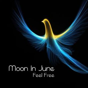 Download track Feel Free The Moon In June