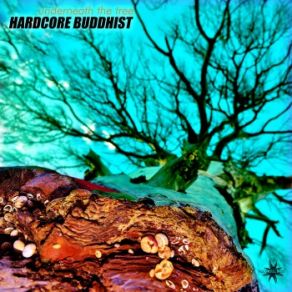 Download track Infinite Hardcore Buddhist