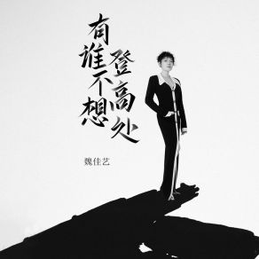 Download track 有谁不想登高处 (伴奏) 魏佳艺