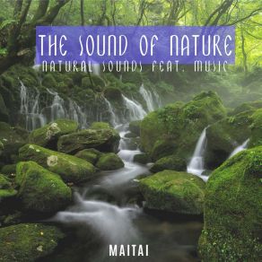 Download track Meditation Of The Water Chakra Meditation