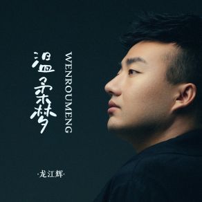 Download track 温柔梦 (Live合唱版伴奏) 龙江辉