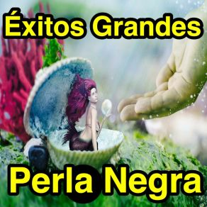 Download track Vente Chiquitita Perla Negra