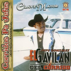 Download track Vivir A Lo Grande Pepe González El Gavilán Del Corrido