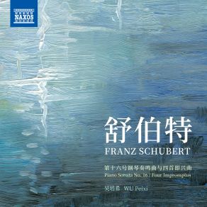 Download track Impromptus, Op. 90, D. 899: No. 2 In E-Flat Major Peixi Wu