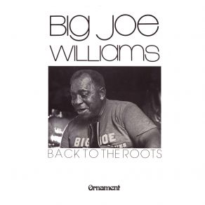 Download track Came Out The Wilderness Big Joe Williams