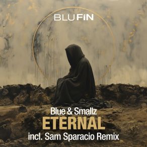 Download track Eternal (Sam Sparacio Remix) SmallzSam Sparacio