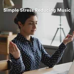 Download track Simple Stress Reducing Music, Pt. 14 New Age Music