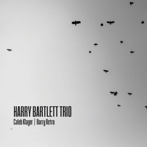 Download track Green Sea Harry Bartlett Trio