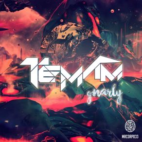 Download track Gnarly Temam