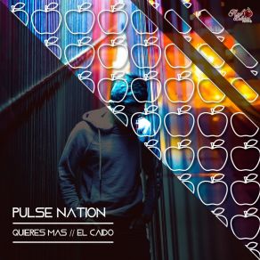 Download track El Caído Pulse Nation Project