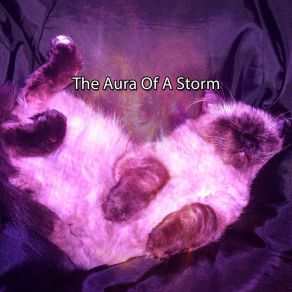 Download track Step Into The Storm Rain Sounds Sleep