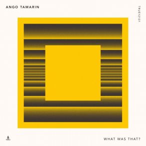 Download track What Was That? Ango Tamarin