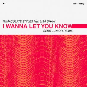 Download track I Wanna Let You Know (Sebb Junior Remix) Lisa ShawSebb Junior