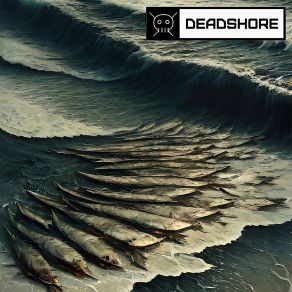 Download track Murakami Deadshore