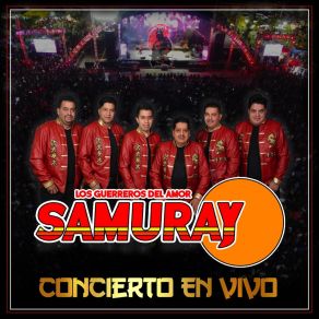 Download track Fue Tan Poco Tu Cariño / Paz En Este Amor (En Vivo) Samuray