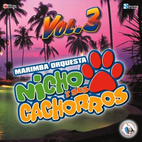 Download track Mix Cachorros 5: Porque Tú No Me Quieres / Pobres Niños / Que Nos Entierren Juntos / La Canalla Marimba Orquesta Nicho