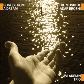 Download track Sitting In The Wind Avi Adrian Trio