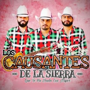 Download track El Teterete (En Vivo) LOS CAUSANTES DE LA SIERRA