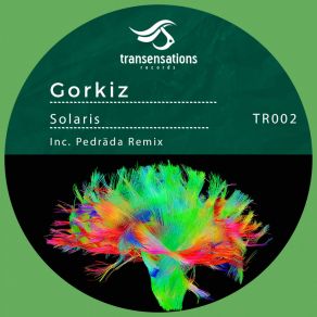 Download track Solaris (Pedrada Remix) Gorkiz