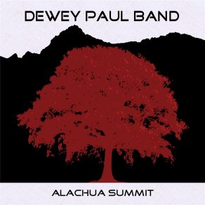 Download track Funky Jerome (Radio Edit) Dewey Paul Band