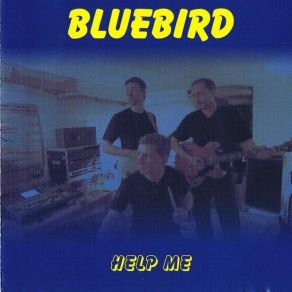 Download track In The Park (Busscher _ Schering) BLUEBIRD