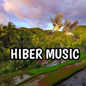 Download track Hole In Pocket HIBER MUSIC