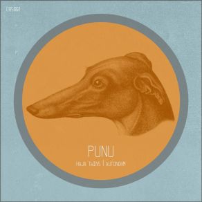 Download track Autonohm Punu