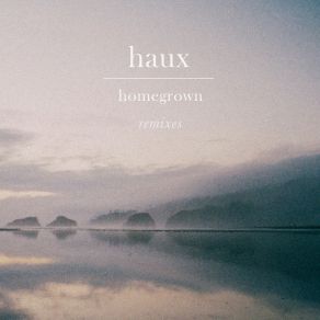 Download track Homegrown (Empty Woods Remix) Haux