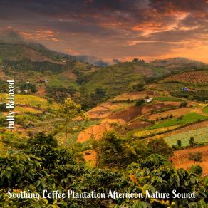 Download track Soothing Coffee Plantation Afternoon Nature Sound, Pt. 12 Steve Brassel