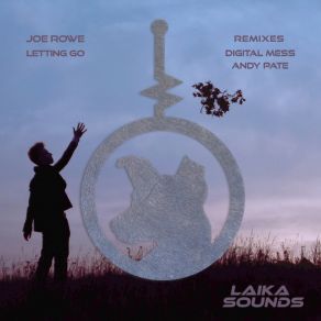 Download track Letting Go (Digital Mess Remix) Joe RoweDigital Mess